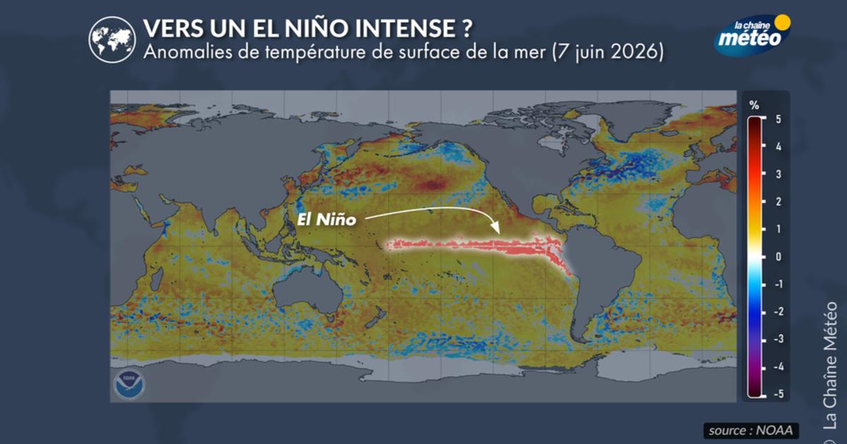 El Niño de retour cet été 2026 : faut-il craindre un nouveau record mondial de chaleur ?
