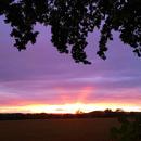 Avernes-sous-Exmes 09/06/2026