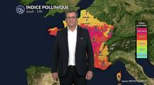 Pollens et allergies : encore des indices polliniques très élevées pour les graminées et urticacées sur les 2/3 sud