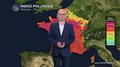 Alerte rouge aux pollens : graminées et urticacées saturent l'air pour ce vendredi 12 juin