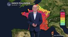 Alerte rouge aux pollens : graminées et urticacées saturent l'air pour ce vendredi 12 juin