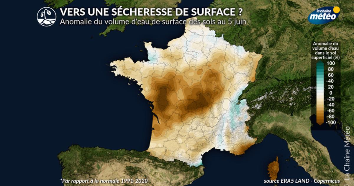 Risque de sécheresse estivale : quelles sont les régions les plus menacées ?
