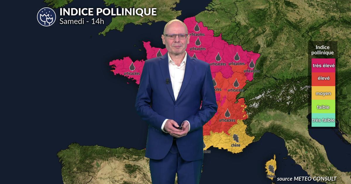 Alerte pollens maximale ce samedi : la chaleur libère une saturation de graminées et d'urticacées