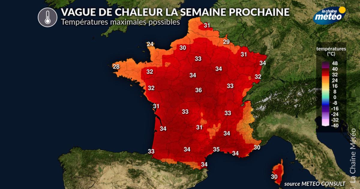 Vague de chaleur et canicule : la chronologie la plus probable