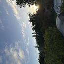 Livry-sur-Seine 13/06/2026