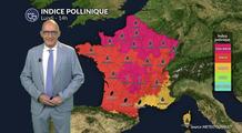 Bulletin pollen et allergies lundi : la chaleur favorise une forte dispersion des graminées