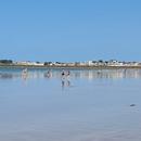 Grande Plage 15/06/2026