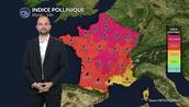 Canicule et air saturé : alerte rouge aux graminées sur presque toute la France mardi