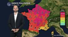 Canicule et air saturé : alerte rouge aux graminées sur presque toute la France mardi