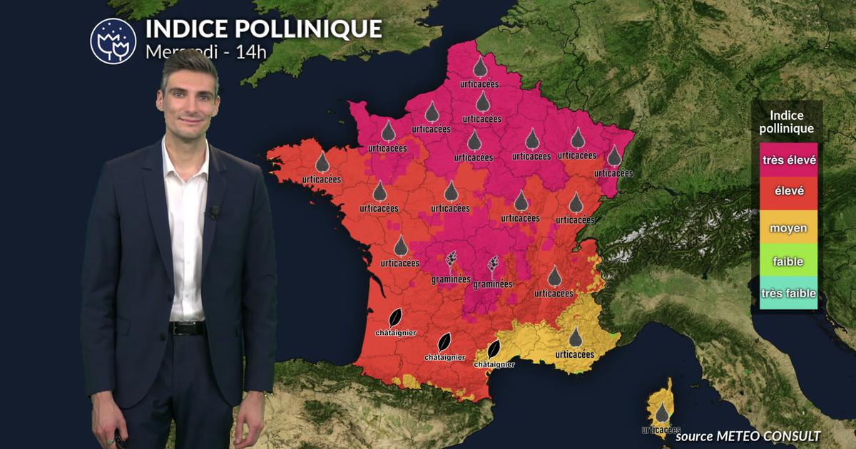Pollens et allergies : risque allergique maximal sur une grande partie du pays ce mercredi