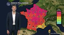 Pollens et allergies : risque allergique maximal sur une grande partie du pays ce mercredi