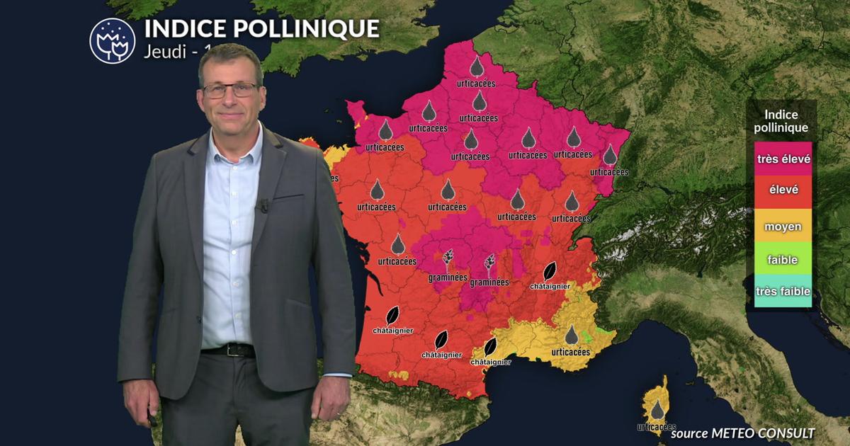 Pollens et allergies : risques très élevés sur la plus grande partie du pays avec le cocktail soleil et canicule