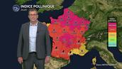 Pollens et allergies : risques très élevés sur la plus grande partie du pays avec le cocktail soleil et canicule