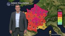 Pollens et allergies : risques très élevés sur la plus grande partie du pays avec le cocktail soleil et canicule