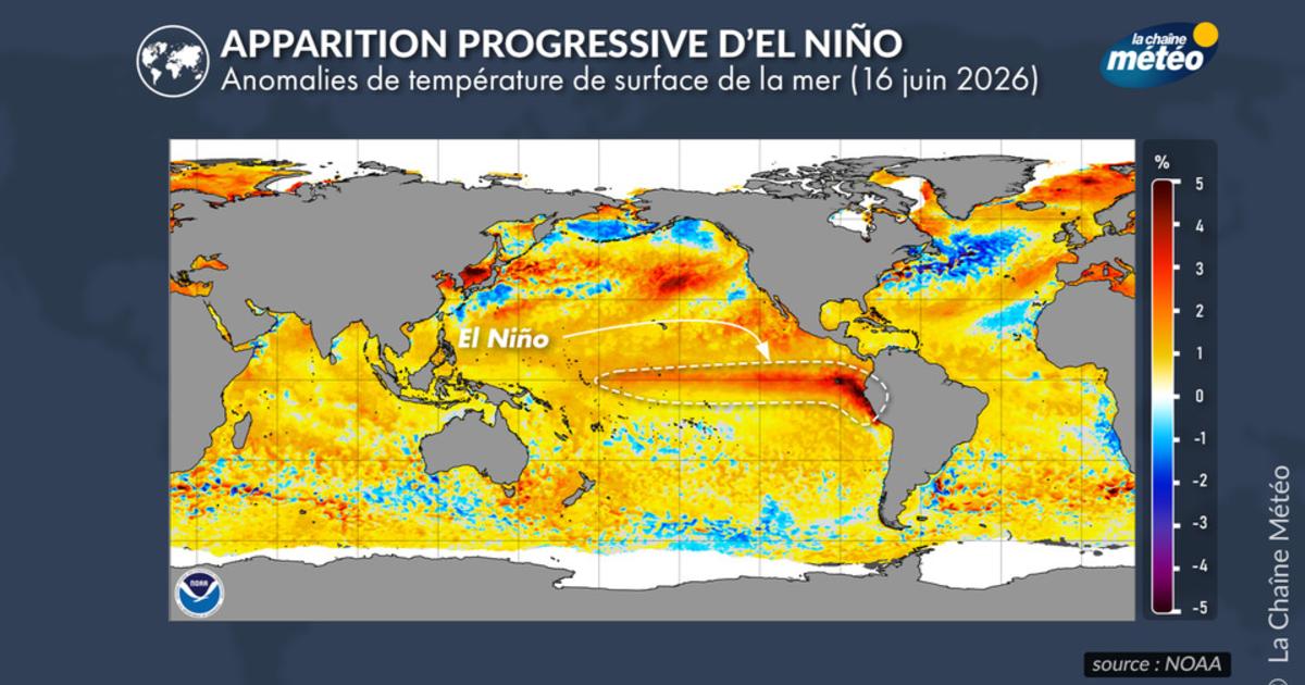 El Niño commence à se mettre en place et devrait culminer cet hiver