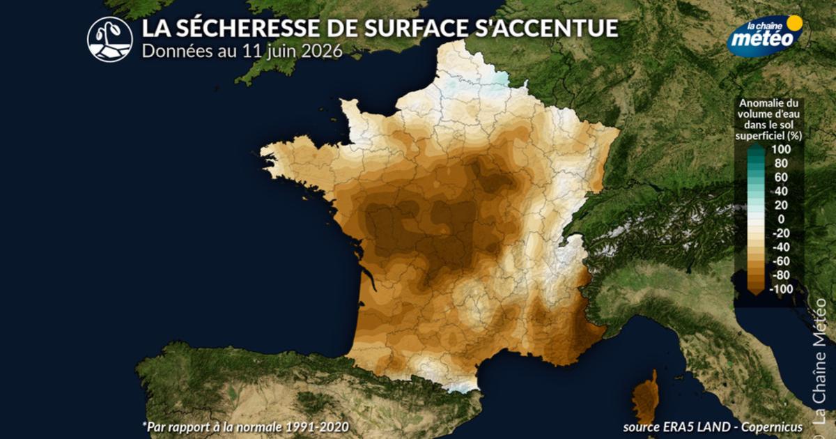 Canicule : l’assèchement rapide des sols devient préoccupant