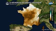 Canicule : l’assèchement rapide des sols devient préoccupant