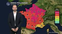 Pollens et allergies : graminées et urticacées saturent l'air sous la canicule