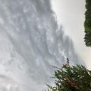 Bollezeele 18/06/2026