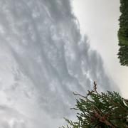 Bollezeele 18/06/2026