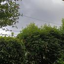 Yerres 18/06/2026