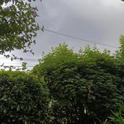 Yerres 18/06/2026