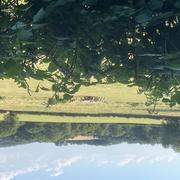 Ouroux-en-Morvan 18/06/2026