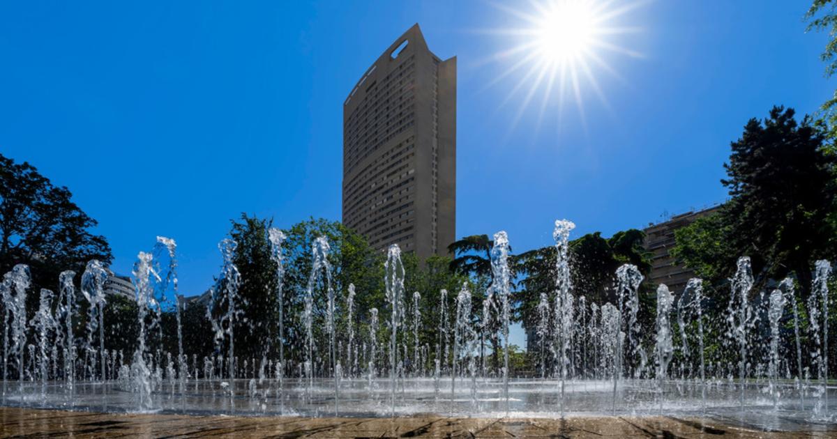 Canicule en France : les conséquences se multiplient déjà