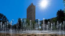 Canicule en France : les conséquences se multiplient déjà