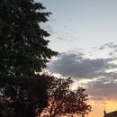 Olivet 18/06/2026