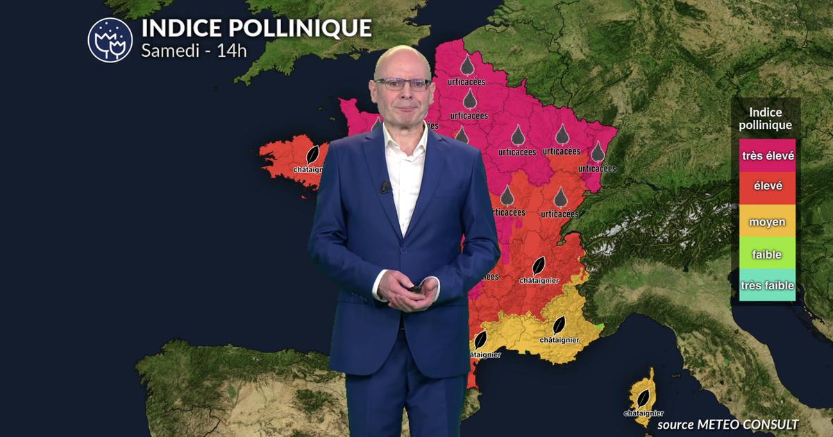 Canicule et pic de graminées : risque allergique très élevé sur un large axe du Grand Est à la Nouvelle-Aquitaine