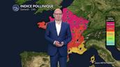 Canicule et pic de graminées : risque allergique très élevé sur un large axe du Grand Est à la Nouvelle-Aquitaine