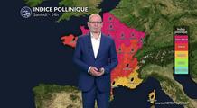 Canicule et pic de graminées : risque allergique très élevé sur un large axe du Grand Est à la Nouvelle-Aquitaine