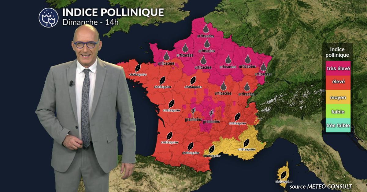 Canicule et pic de graminées : risque très élevé, voire maximal lundi