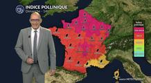 Canicule et pic de graminées : risque très élevé, voire maximal dimanche