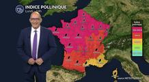 Canicule et pic de graminées : risque très élevé, voire maximal lundi