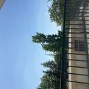Limoges 23/06/2026