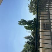 Limoges 23/06/2026