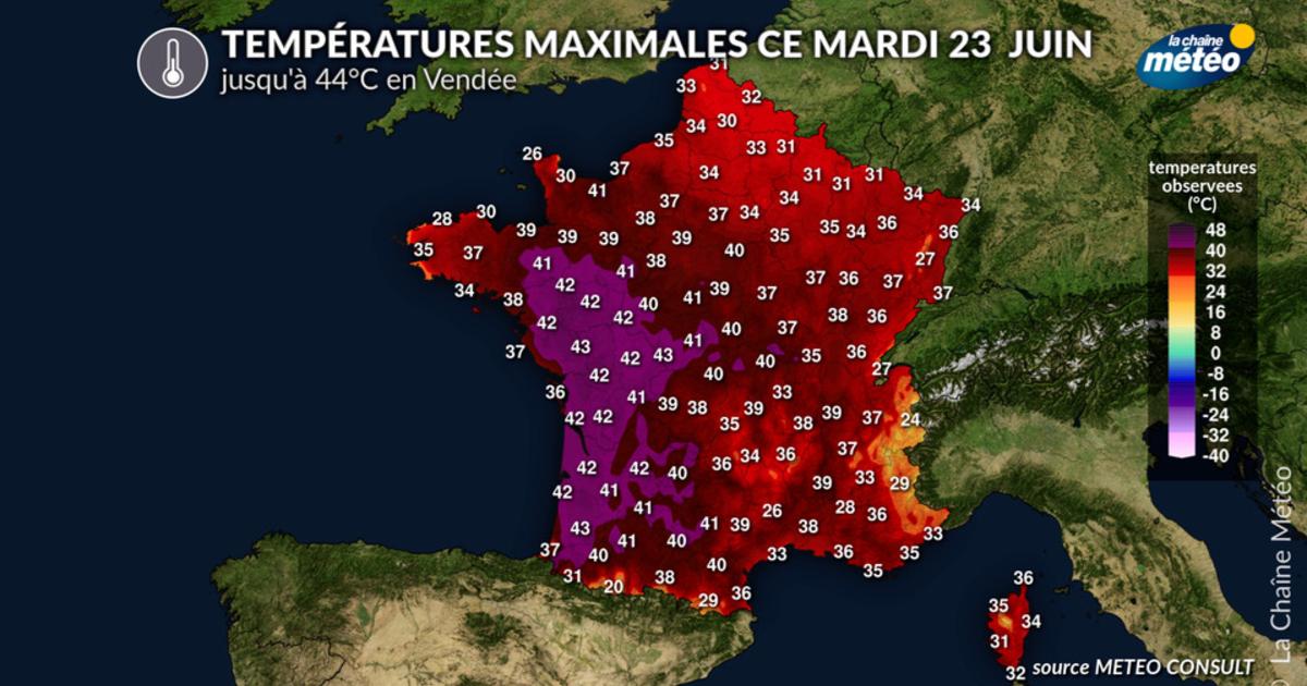 Canicule : jusqu'à 44°C en Vendée ce mardi 23 juin