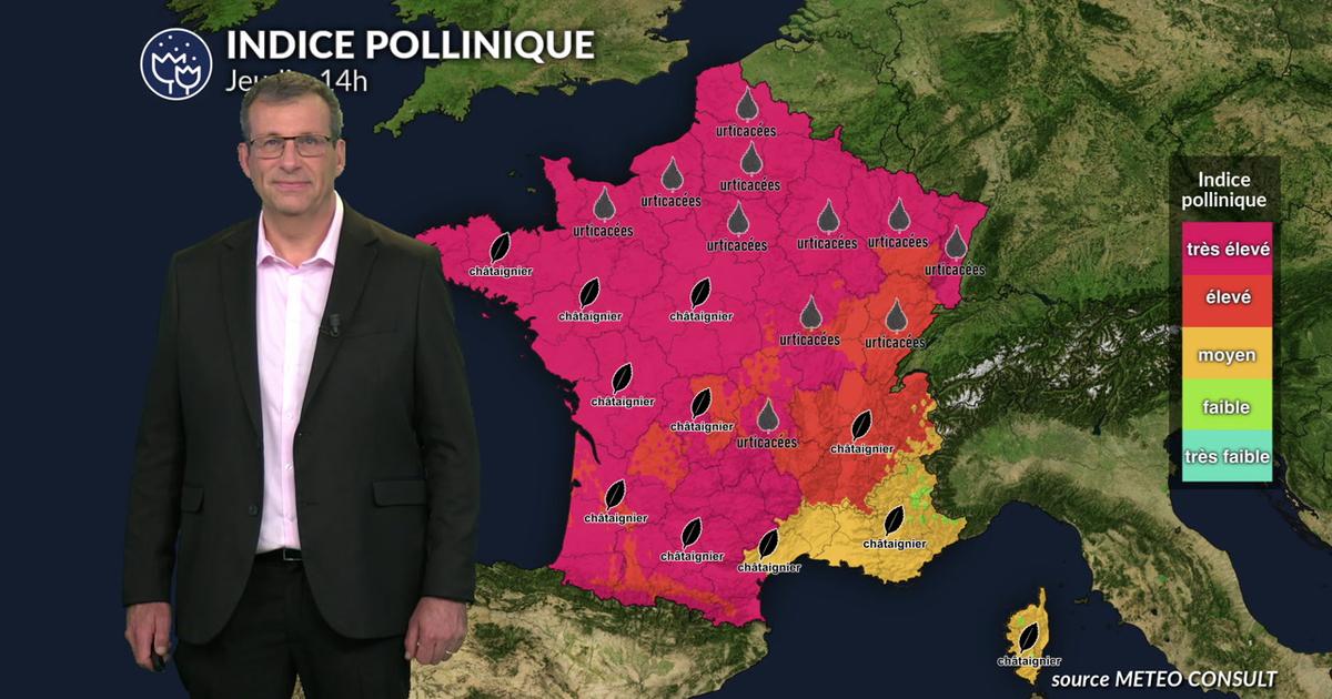 La canicule continue de favoriser des indices polliniques très élevés sur la France