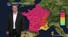 La canicule continue de favoriser des indices polliniques très élevés sur la France