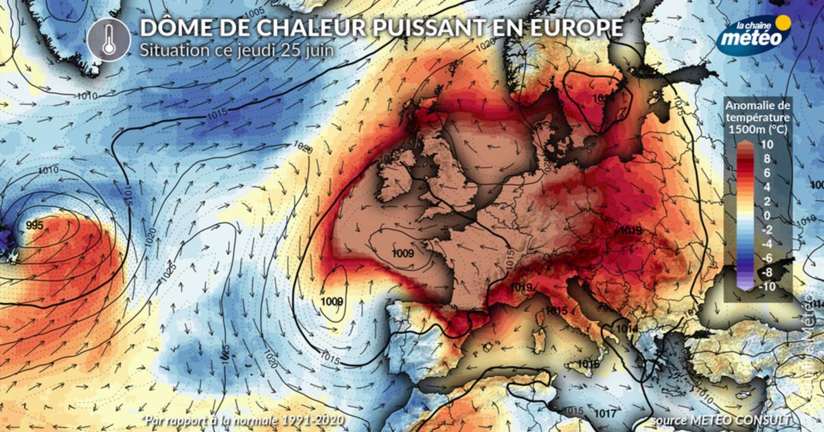 Canicule historique : l'Europe suffoque et fait face à une chaleur extrême