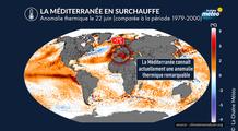 Méditerranée en surchauffe : une anomalie thermique remarquable de +7°C