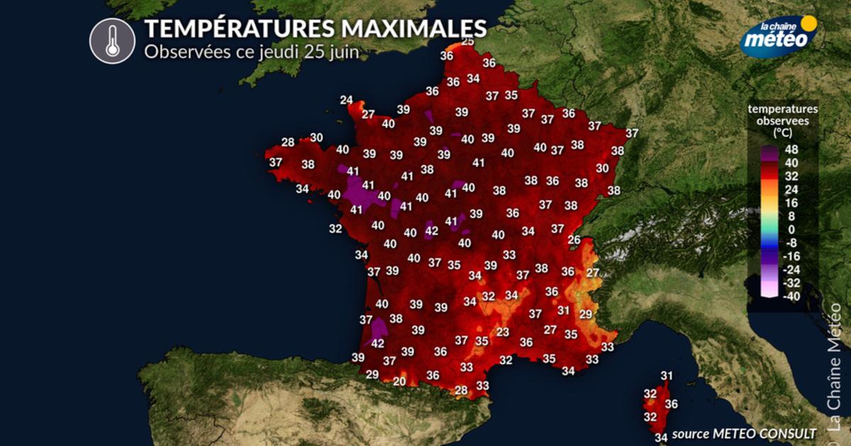 Canicule historique ce jeudi 25 juin : jusqu'à 43,2°C à Beaulieu-sur-Layon (49), 155 records mensuels battus