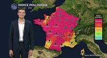 Pollens et allergies : un risque toujours très élevé ce samedi malgré le recul progressif de la canicule
