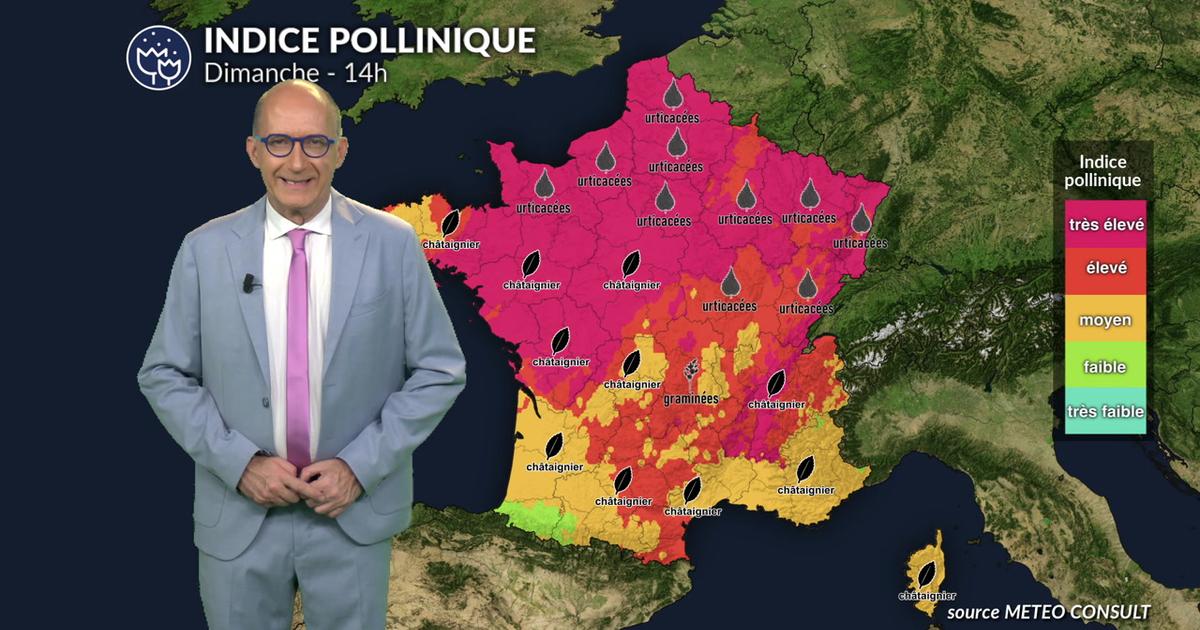 Pollens et allergies : amélioration progressive lundi, mais la vigilance reste de mise