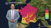 Pollens et allergies : risque toujours aussi élevé malgré la baisse de la température et les orages