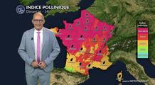 Pollens et allergies : risque toujours aussi élevé malgré la baisse de la température et les orages
