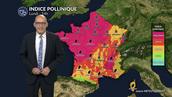 Pollens et allergies : amélioration progressive lundi, mais la vigilance reste de mise