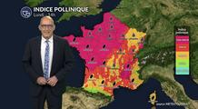 Pollens et allergies : amélioration progressive lundi, mais la vigilance reste de mise